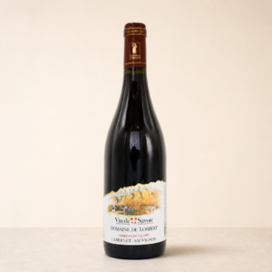 Cabernet sauvignon - Domaine de Lorbert - fond ivoire